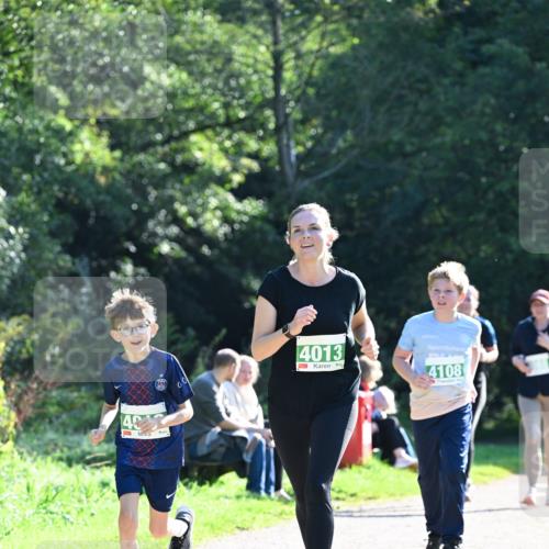 27.09.2026 - 35. Volkslauf durch das schöne Alstertal Dr. Thomas Lammeyer http://msf.ph/oto/10569055 27.09.2026 10:56:04 Laufen 4013, 4108 meine-sportfotos.de