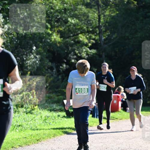 27.09.2026 - 35. Volkslauf durch das schöne Alstertal Dr. Thomas Lammeyer http://msf.ph/oto/10569068 27.09.2026 10:56:07 Laufen 4108, 4062 meine-sportfotos.de