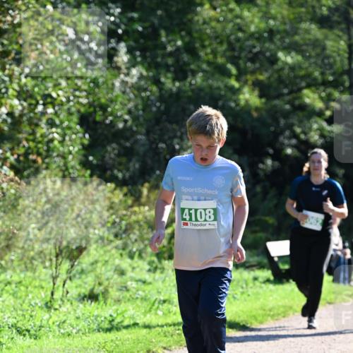 27.09.2026 - 35. Volkslauf durch das schöne Alstertal Dr. Thomas Lammeyer http://msf.ph/oto/10569079 27.09.2026 10:56:08 Laufen 4108 meine-sportfotos.de
