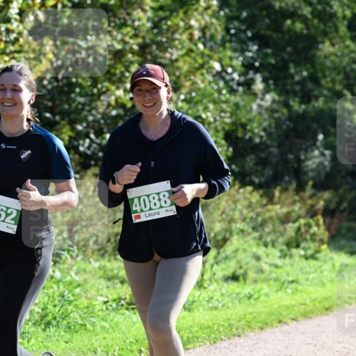 27.09.2026 - 35. Volkslauf durch das schöne Alstertal Dr. Thomas Lammeyer http://msf.ph/oto/10569109 27.09.2026 10:56:12 Laufen 62, 4088 meine-sportfotos.de