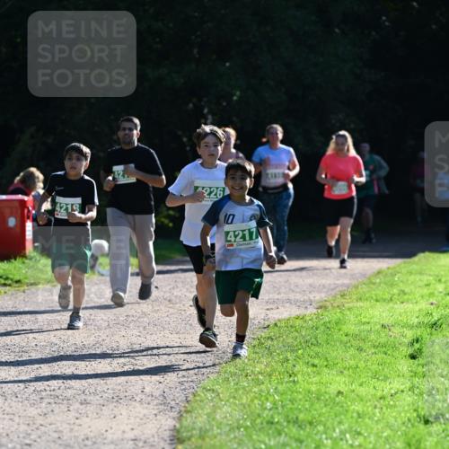 27.09.2026 - 35. Volkslauf durch das schöne Alstertal Dr. Thomas Lammeyer http://msf.ph/oto/10569119 27.09.2026 10:56:15 Laufen 4219, 226, 10, 4217 meine-sportfotos.de