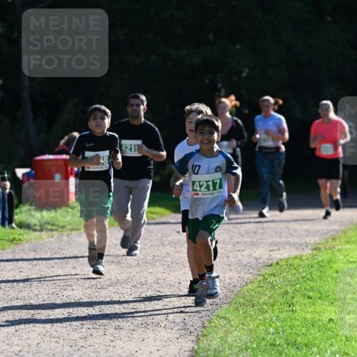 27.09.2026 - 35. Volkslauf durch das schöne Alstertal Dr. Thomas Lammeyer http://msf.ph/oto/10569121 27.09.2026 10:56:15 Laufen 8, 4219, 10, 4217 meine-sportfotos.de