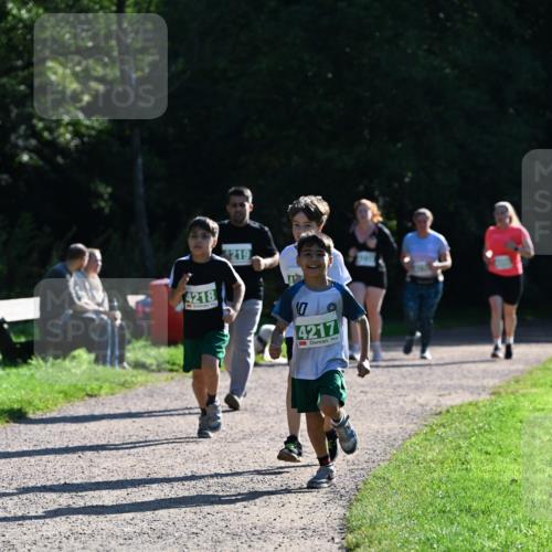 27.09.2026 - 35. Volkslauf durch das schöne Alstertal Dr. Thomas Lammeyer http://msf.ph/oto/10569126 27.09.2026 10:56:16 Laufen 4218, 1219, 10, 4217 meine-sportfotos.de