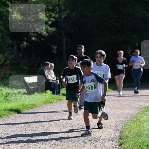 27.09.2026 - 35. Volkslauf durch das schöne Alstertal Dr. Thomas Lammeyer http://msf.ph/oto/10569131 27.09.2026 10:56:16 Laufen 4218, 4217 meine-sportfotos.de
