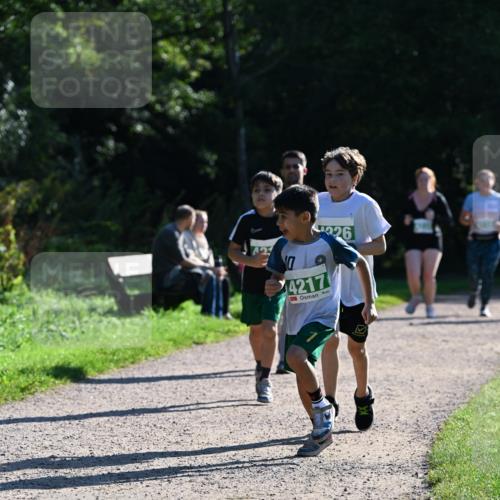 27.09.2026 - 35. Volkslauf durch das schöne Alstertal Dr. Thomas Lammeyer http://msf.ph/oto/10569132 27.09.2026 10:56:16 Laufen 42, 4217, 226 meine-sportfotos.de