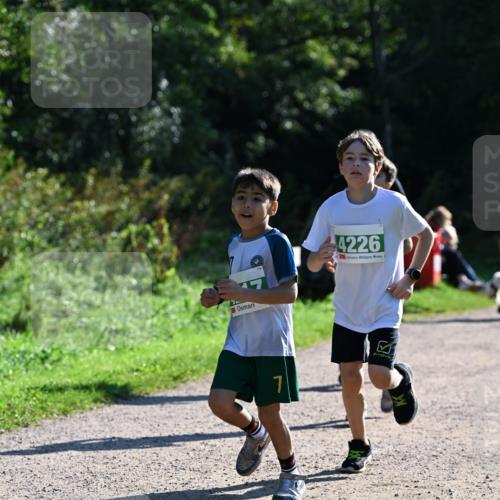 27.09.2026 - 35. Volkslauf durch das schöne Alstertal Dr. Thomas Lammeyer http://msf.ph/oto/10569141 27.09.2026 10:56:17 Laufen 4226 meine-sportfotos.de