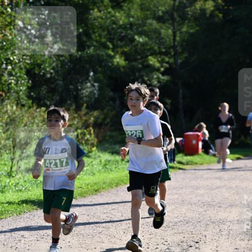 27.09.2026 - 35. Volkslauf durch das schöne Alstertal Dr. Thomas Lammeyer http://msf.ph/oto/10569145 27.09.2026 10:56:18 Laufen 4217, 1226 meine-sportfotos.de