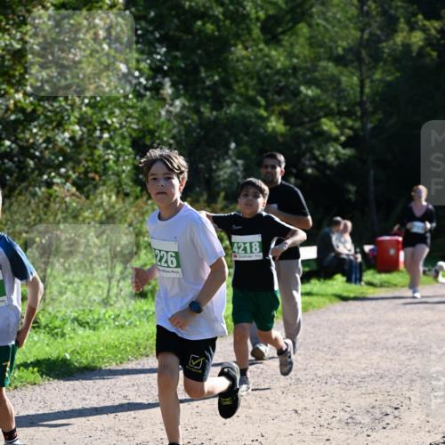 27.09.2026 - 35. Volkslauf durch das schöne Alstertal Dr. Thomas Lammeyer http://msf.ph/oto/10569151 27.09.2026 10:56:19 Laufen 226, 4218 meine-sportfotos.de