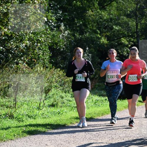 27.09.2026 - 35. Volkslauf durch das schöne Alstertal Dr. Thomas Lammeyer http://msf.ph/oto/10569166 27.09.2026 10:56:23 Laufen 4238, 4110, 4096 meine-sportfotos.de