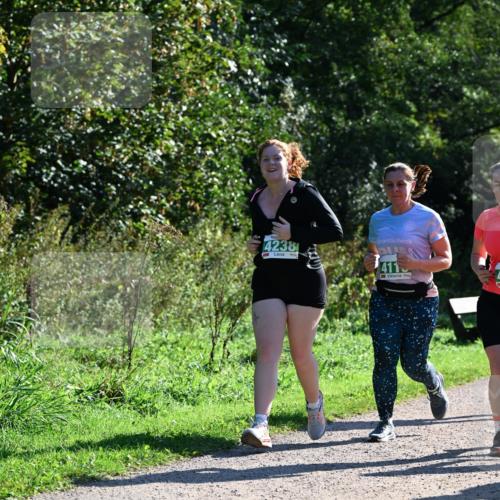 27.09.2026 - 35. Volkslauf durch das schöne Alstertal Dr. Thomas Lammeyer http://msf.ph/oto/10569170 27.09.2026 10:56:24 Laufen 4238, 411 meine-sportfotos.de
