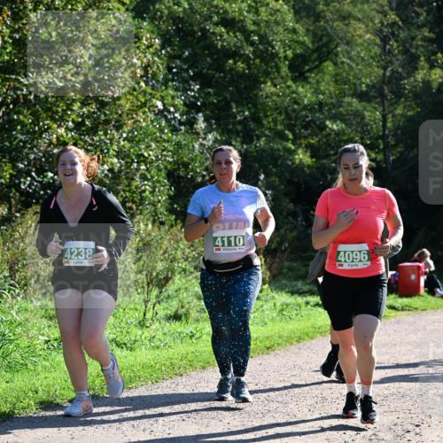 27.09.2026 - 35. Volkslauf durch das schöne Alstertal Dr. Thomas Lammeyer http://msf.ph/oto/10569176 27.09.2026 10:56:25 Laufen 4238, 4110, 4096 meine-sportfotos.de
