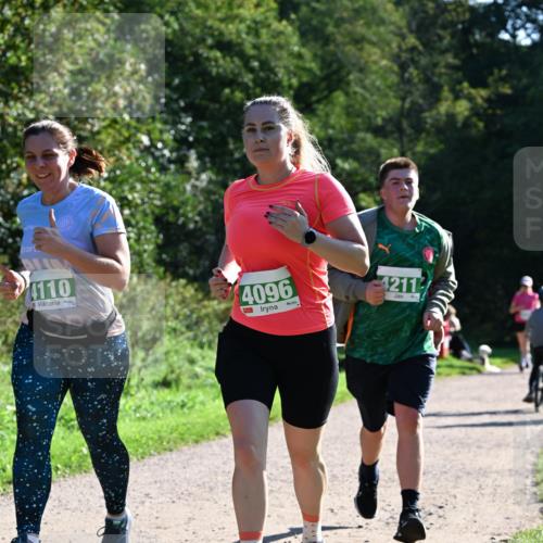 27.09.2026 - 35. Volkslauf durch das schöne Alstertal Dr. Thomas Lammeyer http://msf.ph/oto/10569183 27.09.2026 10:56:26 Laufen 4110, 4096, 4211 meine-sportfotos.de