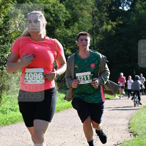 27.09.2026 - 35. Volkslauf durch das schöne Alstertal Dr. Thomas Lammeyer http://msf.ph/oto/10569186 27.09.2026 10:56:26 Laufen 4096, 4211 meine-sportfotos.de