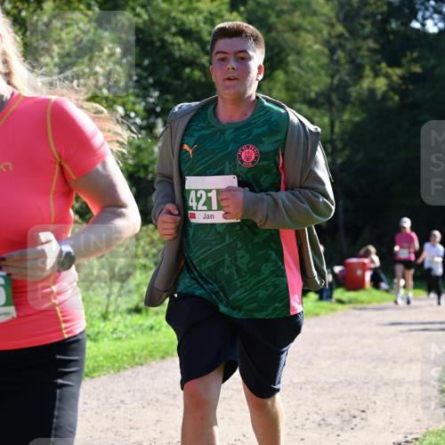 27.09.2026 - 35. Volkslauf durch das schöne Alstertal Dr. Thomas Lammeyer http://msf.ph/oto/10569190 27.09.2026 10:56:27 Laufen 421, 1910 meine-sportfotos.de