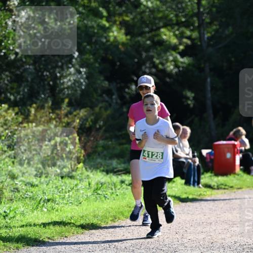 27.09.2026 - 35. Volkslauf durch das schöne Alstertal Dr. Thomas Lammeyer http://msf.ph/oto/10569201 27.09.2026 10:56:30 Laufen 4128 meine-sportfotos.de