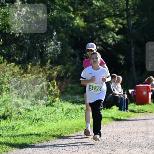 27.09.2026 - 35. Volkslauf durch das schöne Alstertal Dr. Thomas Lammeyer http://msf.ph/oto/10569202 27.09.2026 10:56:30 Laufen 4128 meine-sportfotos.de