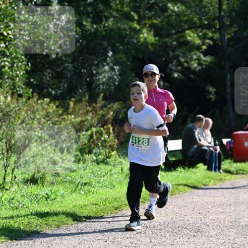 27.09.2026 - 35. Volkslauf durch das schöne Alstertal Dr. Thomas Lammeyer http://msf.ph/oto/10569205 27.09.2026 10:56:31 Laufen 4128 meine-sportfotos.de