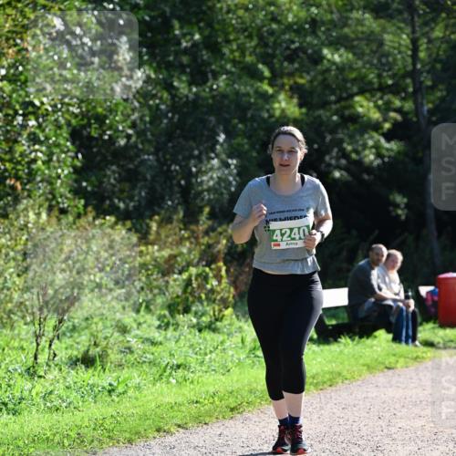 27.09.2026 - 35. Volkslauf durch das schöne Alstertal Dr. Thomas Lammeyer http://msf.ph/oto/10569224 27.09.2026 10:56:35 Laufen 2026, 4240 meine-sportfotos.de