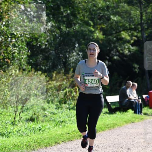 27.09.2026 - 35. Volkslauf durch das schöne Alstertal Dr. Thomas Lammeyer http://msf.ph/oto/10569226 27.09.2026 10:56:35 Laufen 4240 meine-sportfotos.de