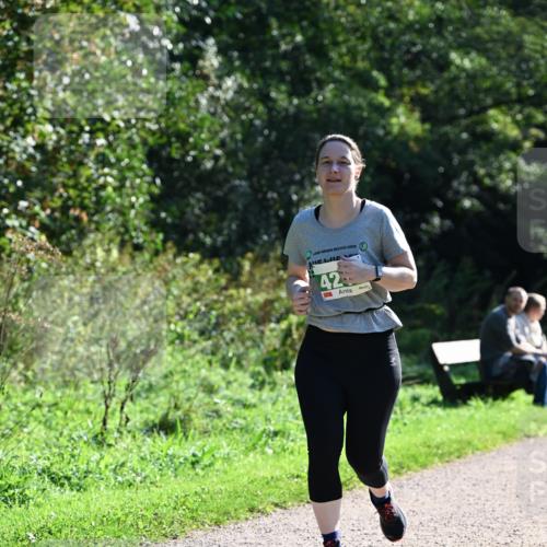 27.09.2026 - 35. Volkslauf durch das schöne Alstertal Dr. Thomas Lammeyer http://msf.ph/oto/10569228 27.09.2026 10:56:35 Laufen 2026, 42 meine-sportfotos.de