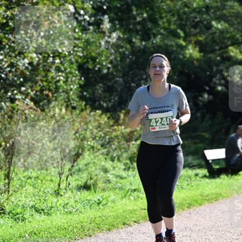 27.09.2026 - 35. Volkslauf durch das schöne Alstertal Dr. Thomas Lammeyer http://msf.ph/oto/10569229 27.09.2026 10:56:36 Laufen 2026, 4240 meine-sportfotos.de