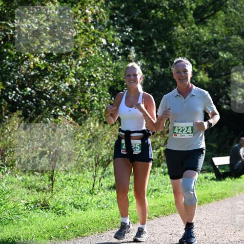 27.09.2026 - 35. Volkslauf durch das schöne Alstertal Dr. Thomas Lammeyer http://msf.ph/oto/10569254 27.09.2026 10:56:51 Laufen 425, 4224 meine-sportfotos.de