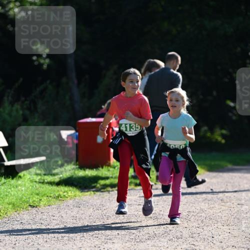 27.09.2026 - 35. Volkslauf durch das schöne Alstertal Dr. Thomas Lammeyer http://msf.ph/oto/10569300 27.09.2026 10:57:21 Laufen 4135 meine-sportfotos.de