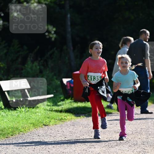 27.09.2026 - 35. Volkslauf durch das schöne Alstertal Dr. Thomas Lammeyer http://msf.ph/oto/10569302 27.09.2026 10:57:22 Laufen 4135 meine-sportfotos.de