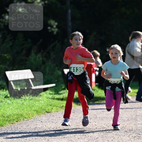27.09.2026 - 35. Volkslauf durch das schöne Alstertal Dr. Thomas Lammeyer http://msf.ph/oto/10569305 27.09.2026 10:57:22 Laufen 4135, 1052 meine-sportfotos.de