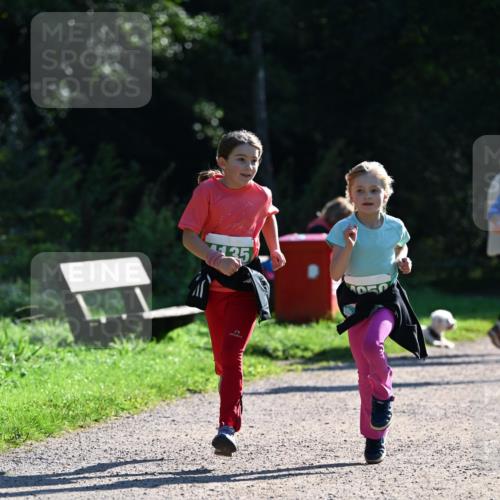 27.09.2026 - 35. Volkslauf durch das schöne Alstertal Dr. Thomas Lammeyer http://msf.ph/oto/10569308 27.09.2026 10:57:22 Laufen 135 meine-sportfotos.de