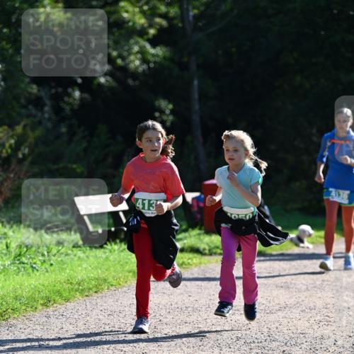 27.09.2026 - 35. Volkslauf durch das schöne Alstertal Dr. Thomas Lammeyer http://msf.ph/oto/10569311 27.09.2026 10:57:23 Laufen 413, 4136 meine-sportfotos.de