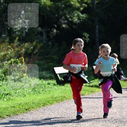 27.09.2026 - 35. Volkslauf durch das schöne Alstertal Dr. Thomas Lammeyer http://msf.ph/oto/10569313 27.09.2026 10:57:23 Laufen 35, 900 meine-sportfotos.de