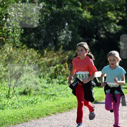 27.09.2026 - 35. Volkslauf durch das schöne Alstertal Dr. Thomas Lammeyer http://msf.ph/oto/10569315 27.09.2026 10:57:24 Laufen 4135 meine-sportfotos.de