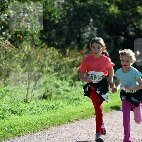 27.09.2026 - 35. Volkslauf durch das schöne Alstertal Dr. Thomas Lammeyer http://msf.ph/oto/10569317 27.09.2026 10:57:24 Laufen 4135 meine-sportfotos.de