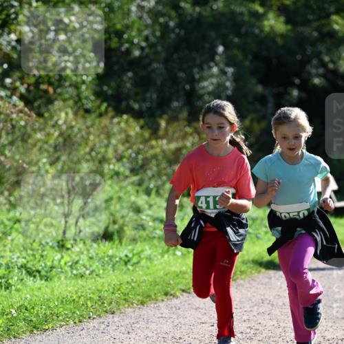 27.09.2026 - 35. Volkslauf durch das schöne Alstertal Dr. Thomas Lammeyer http://msf.ph/oto/10569318 27.09.2026 10:57:24 Laufen 413, 2 meine-sportfotos.de