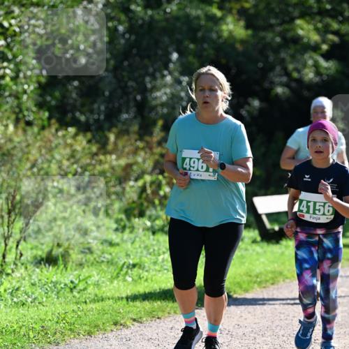 27.09.2026 - 35. Volkslauf durch das schöne Alstertal Dr. Thomas Lammeyer http://msf.ph/oto/10569398 27.09.2026 10:57:48 Laufen 496, 14156 meine-sportfotos.de