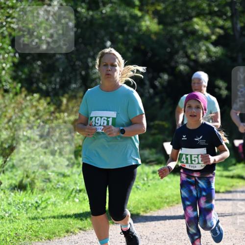 27.09.2026 - 35. Volkslauf durch das schöne Alstertal Dr. Thomas Lammeyer http://msf.ph/oto/10569400 27.09.2026 10:57:48 Laufen 4961, 415 meine-sportfotos.de