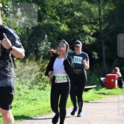 27.09.2026 - 35. Volkslauf durch das schöne Alstertal Dr. Thomas Lammeyer http://msf.ph/oto/10569424 27.09.2026 10:57:53 Laufen 4147, 4954 meine-sportfotos.de