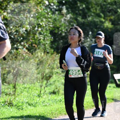 27.09.2026 - 35. Volkslauf durch das schöne Alstertal Dr. Thomas Lammeyer http://msf.ph/oto/10569430 27.09.2026 10:57:54 Laufen 4954, 4147 meine-sportfotos.de