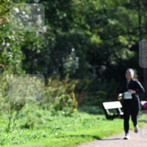 27.09.2026 - 35. Volkslauf durch das schöne Alstertal Dr. Thomas Lammeyer http://msf.ph/oto/10569452 27.09.2026 10:57:57 Laufen  meine-sportfotos.de