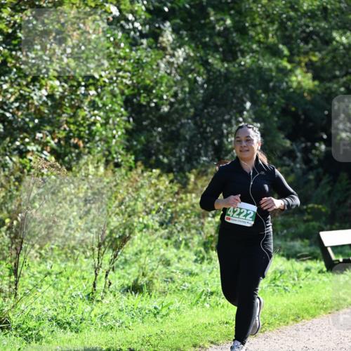 27.09.2026 - 35. Volkslauf durch das schöne Alstertal Dr. Thomas Lammeyer http://msf.ph/oto/10569461 27.09.2026 10:57:59 Laufen 4222 meine-sportfotos.de