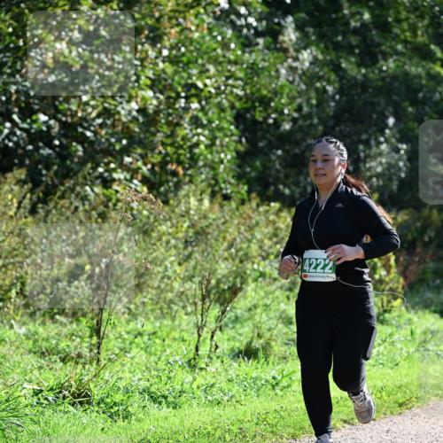 27.09.2026 - 35. Volkslauf durch das schöne Alstertal Dr. Thomas Lammeyer http://msf.ph/oto/10569464 27.09.2026 10:58:00 Laufen 4222 meine-sportfotos.de