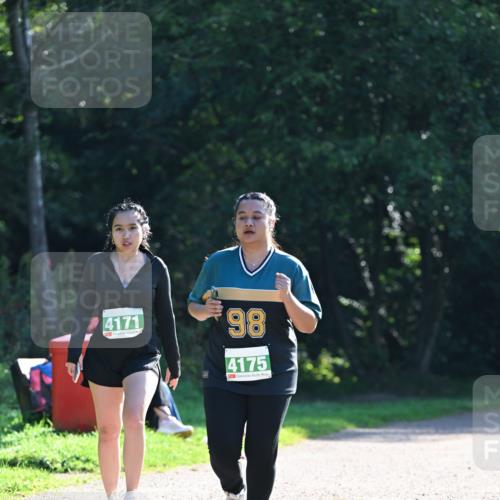 27.09.2026 - 35. Volkslauf durch das schöne Alstertal Dr. Thomas Lammeyer http://msf.ph/oto/10569474 27.09.2026 10:58:03 Laufen 4171, 98, 4175 meine-sportfotos.de