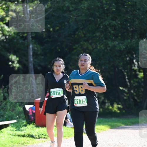 27.09.2026 - 35. Volkslauf durch das schöne Alstertal Dr. Thomas Lammeyer http://msf.ph/oto/10569476 27.09.2026 10:58:03 Laufen 4171, 98, 4175 meine-sportfotos.de