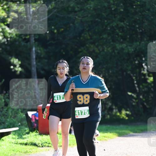 27.09.2026 - 35. Volkslauf durch das schöne Alstertal Dr. Thomas Lammeyer http://msf.ph/oto/10569477 27.09.2026 10:58:03 Laufen 417, 98, 4175 meine-sportfotos.de