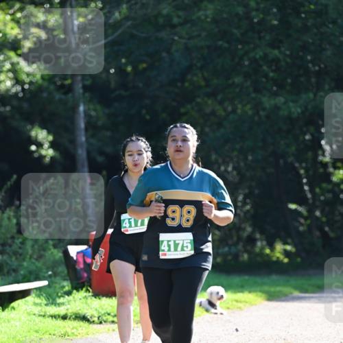 27.09.2026 - 35. Volkslauf durch das schöne Alstertal Dr. Thomas Lammeyer http://msf.ph/oto/10569479 27.09.2026 10:58:03 Laufen 4177, 98, 4175 meine-sportfotos.de