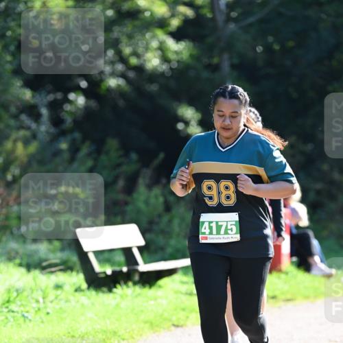 27.09.2026 - 35. Volkslauf durch das schöne Alstertal Dr. Thomas Lammeyer http://msf.ph/oto/10569483 27.09.2026 10:58:04 Laufen 98, 4175 meine-sportfotos.de