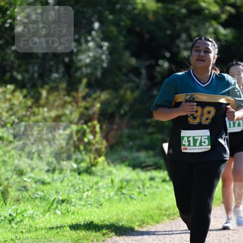 27.09.2026 - 35. Volkslauf durch das schöne Alstertal Dr. Thomas Lammeyer http://msf.ph/oto/10569491 27.09.2026 10:58:06 Laufen 38, 4175 meine-sportfotos.de