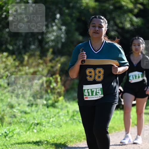 27.09.2026 - 35. Volkslauf durch das schöne Alstertal Dr. Thomas Lammeyer http://msf.ph/oto/10569495 27.09.2026 10:58:06 Laufen 98, 4175, 4171 meine-sportfotos.de