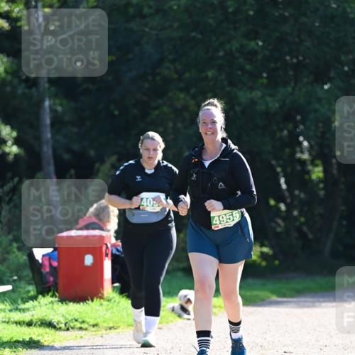 27.09.2026 - 35. Volkslauf durch das schöne Alstertal Dr. Thomas Lammeyer http://msf.ph/oto/10569505 27.09.2026 10:58:17 Laufen 40, 4955, 5 meine-sportfotos.de